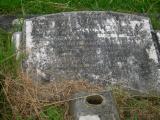 image of grave number 681059